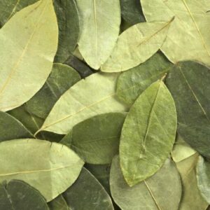 Coca Leaves 1,000gr (1kg)