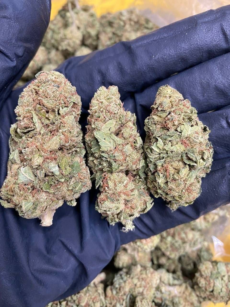 Buy Weed Online in Wolverhampton