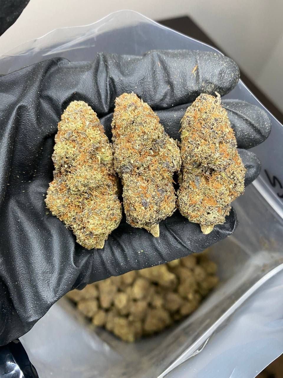 Buy Weed Online in Wolverhampton - Image 5