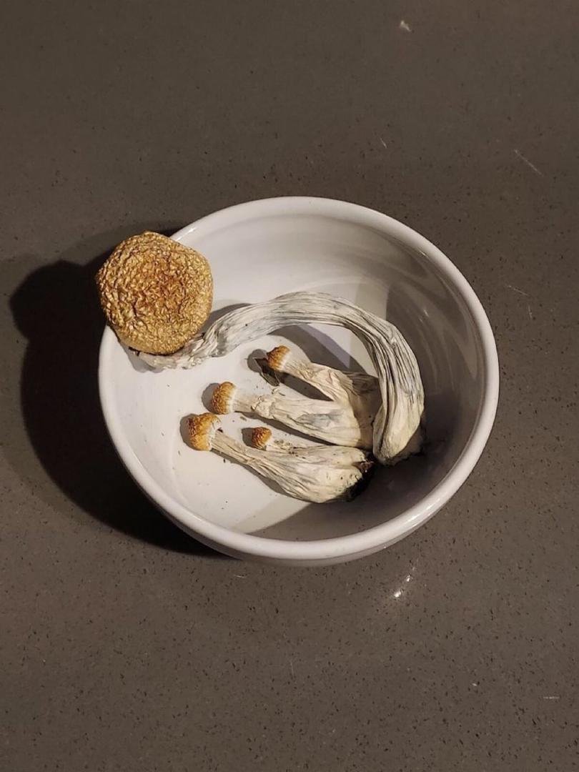 Buy Mushrooms newcastle Online - Image 5